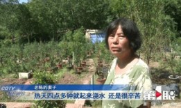 乡村老陈前妻爆料视频大全,揭秘背后惊人真相